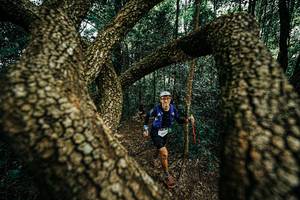 BIB: 
                            <button type="button" onclick="openModal(25394068)" class="btn btn-primary btn-sm float-right btn-popup" data-toggle="modal" data-target=".modal-high-quality">
                        <i class="fas fa-shopping-cart"></i> Add to Cart
                    </button>
                                            <button type="button" onclick="isThisMe(25394068, true)" class="btn btn-success btn-sm float-right btn-popup btn-isme hidden" data-toggle="tooltip" data-placement="bottom" title="นี่คือรูปของคุณใช่ไหม คลิกที่นี่เพื่อเอาเข้าอัลบั้ม">
                        <i class="fas fa-plus"></i> Add to album
                    </button>
                    <button type="button" onclick="isThisMe(25394068, false)" class="btn btn-warning btn-sm float-right btn-popup btn-isnotme hidden">
                        <i class="fas fa-ban"></i> Remove from album
                    </button>